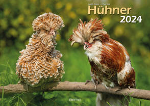 Hühner 2024 Bildkalender A3 quer – Judith Kiener & Oliver Giel von Giel,  Oliver, Kiener,  Judith, Klaes,  Holger