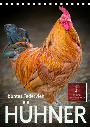 Hühner – buntes Federvieh (Tischkalender 2023 DIN A5 hoch) von Roder,  Peter