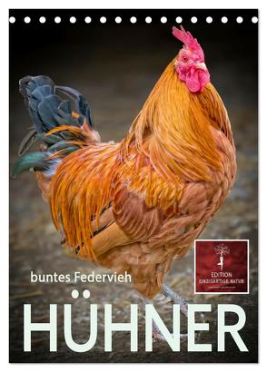 Hühner – buntes Federvieh (Tischkalender 2024 DIN A5 hoch), CALVENDO Monatskalender von Roder,  Peter