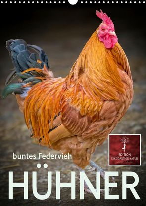 Hühner – buntes Federvieh (Wandkalender 2022 DIN A3 hoch) von Roder,  Peter