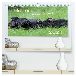 Hühner im eigenen Garten (hochwertiger Premium Wandkalender 2024 DIN A2 quer), Kunstdruck in Hochglanz von Stephan,  Nicole