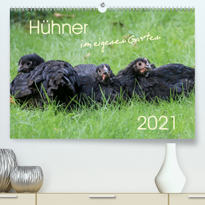 Hühner im eigenen Garten (Premium, hochwertiger DIN A2 Wandkalender 2021, Kunstdruck in Hochglanz) von Stephan,  Nicole