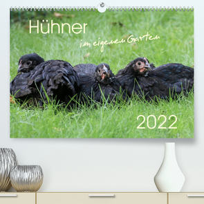 Hühner im eigenen Garten (Premium, hochwertiger DIN A2 Wandkalender 2022, Kunstdruck in Hochglanz) von Stephan,  Nicole