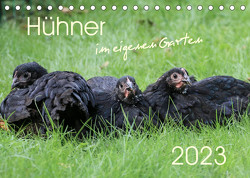 Hühner im eigenen Garten (Tischkalender 2023 DIN A5 quer) von Stephan,  Nicole