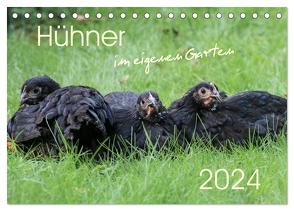 Hühner im eigenen Garten (Tischkalender 2024 DIN A5 quer), CALVENDO Monatskalender von Stephan,  Nicole
