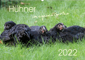 Hühner im eigenen Garten (Wandkalender 2022 DIN A2 quer) von Stephan,  Nicole