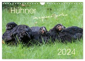 Hühner im eigenen Garten (Wandkalender 2024 DIN A4 quer), CALVENDO Monatskalender von Stephan,  Nicole