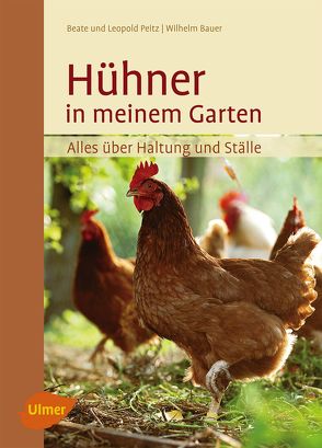 Hühner in meinem Garten von Bauer,  Wilhelm, Peitz,  Beate, Peitz,  Leopold