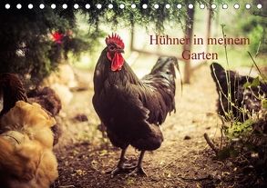Hühner in meinem Garten (Tischkalender 2018 DIN A5 quer) von Meyer,  Manuela