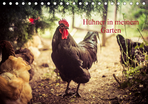 Hühner in meinem Garten (Tischkalender 2021 DIN A5 quer) von Meyer,  Manuela