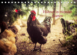 Hühner in meinem Garten (Tischkalender 2023 DIN A5 quer) von Meyer,  Manuela