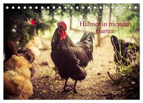 Hühner in meinem Garten (Tischkalender 2024 DIN A5 quer), CALVENDO Monatskalender von Meyer,  Manuela