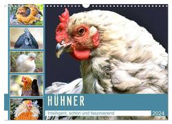 Hühner. Intelligent, schön und faszinierend (Wandkalender 2024 DIN A3 quer), CALVENDO Monatskalender von Hurley,  Rose