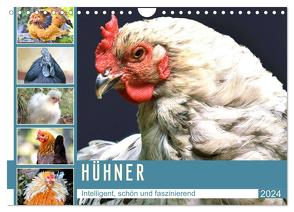 Hühner. Intelligent, schön und faszinierend (Wandkalender 2024 DIN A4 quer), CALVENDO Monatskalender von Hurley,  Rose