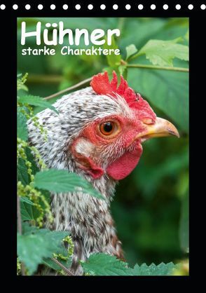 Hühner – starke Charaktere (Tischkalender 2019 DIN A5 hoch) von Berkenkamp,  Britta