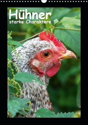 Hühner – starke Charaktere (Wandkalender 2019 DIN A3 hoch) von Berkenkamp,  Britta