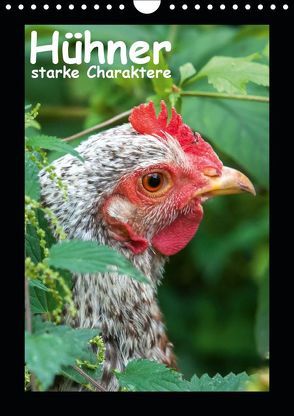 Hühner – starke Charaktere (Wandkalender 2019 DIN A4 hoch) von Berkenkamp,  Britta