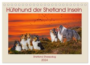 Hütehund der Shetland Inseln – Shetland Sheepdog (Tischkalender 2024 DIN A5 quer), CALVENDO Monatskalender von Starick,  Sigrid