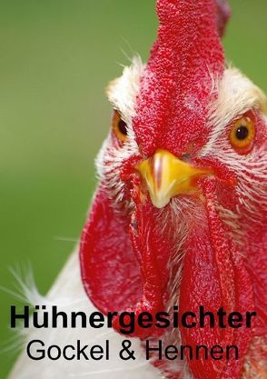 Hühnergesichter • Gockel & Hennen (Posterbuch DIN A4 hoch) von Stanzer,  Elisabeth