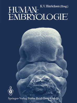 Humanembryologie von Beier,  Henning Martin, Breucker,  H., Christ,  B., Duncker,  H.-R., Dvorak,  M., Gaudecker,  B. v., Hahn von Dorsche,  H., Hinrichsen,  Klaus V., Holstein,  A.F., Jacob,  H.J., Jacob,  M., Jorch,  G., Kaufmann,  P., Kostovic,  I., Prindull,  G., Seidl,  W., Steding,  G., Tesarik,  J., Wartenberg,  H.