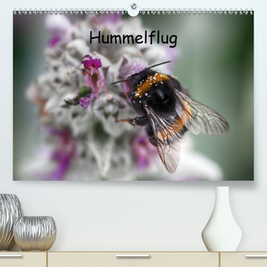 Hummelflug (Premium, hochwertiger DIN A2 Wandkalender 2021, Kunstdruck in Hochglanz) von Kretschmann,  Klaudia