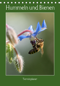 Hummeln und Bienen Terminplaner (Tischkalender 2024 DIN A5 hoch), CALVENDO Monatskalender von Kohrt,  Stephanie