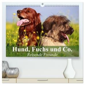 Hund, Fuchs und Co. Reizende Freunde (hochwertiger Premium Wandkalender 2024 DIN A2 quer), Kunstdruck in Hochglanz von Stanzer,  Elisabeth