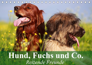 Hund, Fuchs und Co. Reizende Freunde (Tischkalender 2021 DIN A5 quer) von Stanzer,  Elisabeth