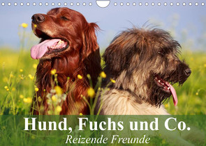 Hund, Fuchs und Co. Reizende Freunde (Wandkalender 2022 DIN A4 quer) von Stanzer,  Elisabeth