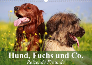 Hund, Fuchs und Co. Reizende Freunde (Wandkalender 2023 DIN A3 quer) von Stanzer,  Elisabeth