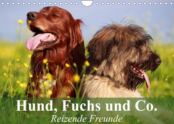 Hund, Fuchs und Co. Reizende Freunde (Wandkalender 2023 DIN A4 quer) von Stanzer,  Elisabeth