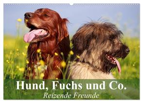 Hund, Fuchs und Co. Reizende Freunde (Wandkalender 2024 DIN A2 quer), CALVENDO Monatskalender von Stanzer,  Elisabeth