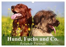 Hund, Fuchs und Co. Reizende Freunde (Wandkalender 2024 DIN A3 quer), CALVENDO Monatskalender von Stanzer,  Elisabeth