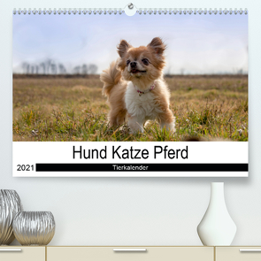 Hund Katze PferdAT-Version (Premium, hochwertiger DIN A2 Wandkalender 2021, Kunstdruck in Hochglanz) von Hutterer Fotografie,  Martha