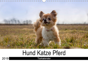 Hund Katze PferdAT-Version (Wandkalender 2019 DIN A3 quer) von Hutterer Fotografie,  Martha