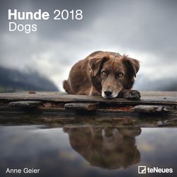 Hunde 2018 Anne Geier von Geier,  Anne