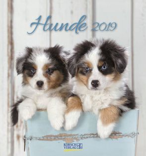 Hunde (PK) 233619 2019 von Korsch Verlag