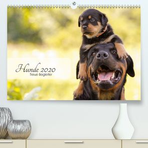 Hunde 2020 – Treue Begleiter (Premium, hochwertiger DIN A2 Wandkalender 2020, Kunstdruck in Hochglanz) von Pohle,  Janice