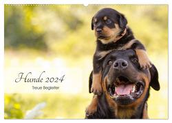 Hunde 2024 – Treue Begleiter (Wandkalender 2024 DIN A2 quer), CALVENDO Monatskalender von Pohle,  Janice