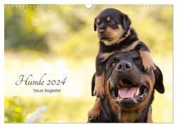 Hunde 2024 – Treue Begleiter (Wandkalender 2024 DIN A3 quer), CALVENDO Monatskalender von Pohle,  Janice