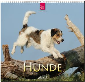 Hunde von Stuewer,  Sabine