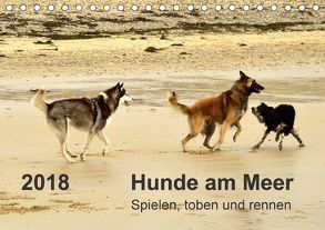 Hunde am Meer – Spielen, toben und rennen (Tischkalender 2018 DIN A5 quer) von Walter,  Dirk