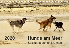 Hunde am Meer – Spielen, toben und rennen (Tischkalender 2020 DIN A5 quer) von Walter,  Dirk