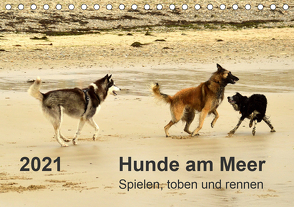 Hunde am Meer – Spielen, toben und rennen (Tischkalender 2021 DIN A5 quer) von Walter,  Dirk