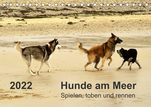 Hunde am Meer – Spielen, toben und rennen (Tischkalender 2022 DIN A5 quer) von Walter,  Dirk