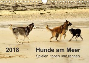 Hunde am Meer – Spielen, toben und rennen (Wandkalender 2018 DIN A4 quer) von Walter,  Dirk