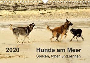 Hunde am Meer – Spielen, toben und rennen (Wandkalender 2020 DIN A4 quer) von Walter,  Dirk