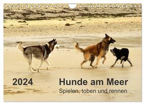 Hunde am Meer – Spielen, toben und rennen (Wandkalender 2024 DIN A4 quer), CALVENDO Monatskalender von Walter,  Dirk