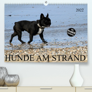 HUNDE AM STRAND (Premium, hochwertiger DIN A2 Wandkalender 2022, Kunstdruck in Hochglanz) von SchnelleWelten