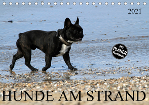 HUNDE AM STRAND (Tischkalender 2021 DIN A5 quer) von SchnelleWelten